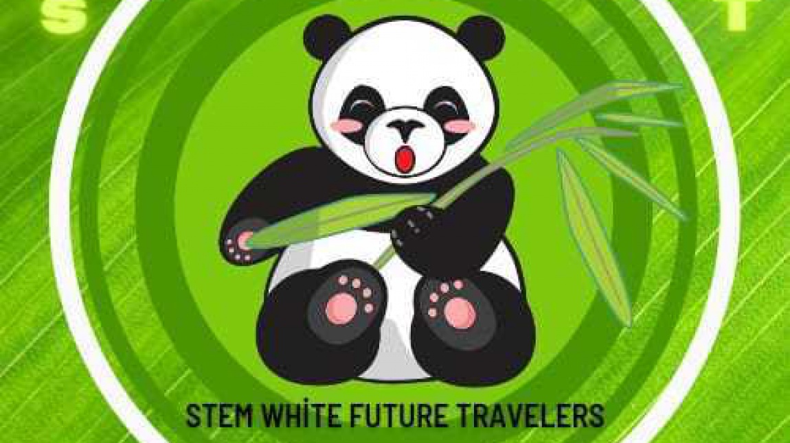 STEM with Future Travelers eTwinning Projemiz